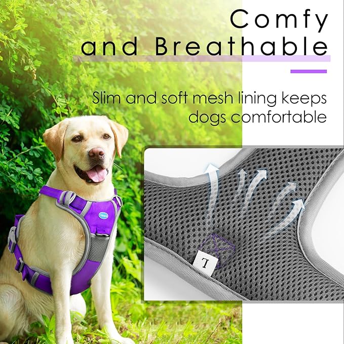 ThinkPet No Pull Harness Set Breathable Sport Harness with Handle - Reflective Padded Dog Safety Vest with Reflective Neon Dog Leash S Harness Leash Pack Purple