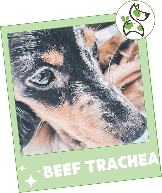 Nature Gnaws Beef Trachea Chews for Dogs 3" (12 Count) - Long Lasting Natural Crunchy Dog Chew Bones - Rawhide Free