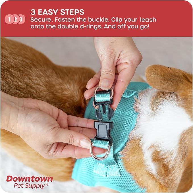 Downtown Pet Supply Step in Dog Harness for Small Dogs No Pull, Small, Light Blue - Adjustable Harness with Padded Mesh Fabric and Reflective Trim - Buckle Strap Harness for Dogs