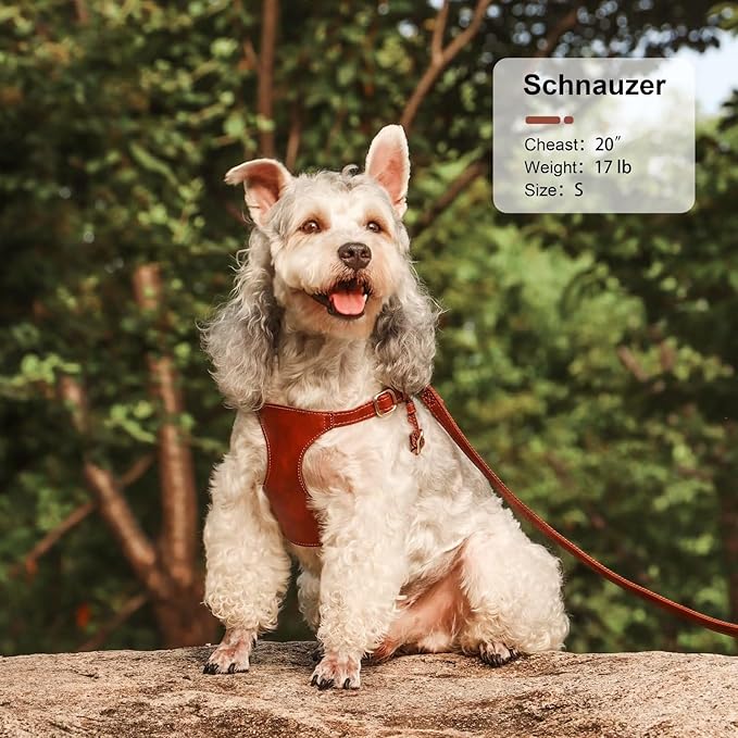 Didog Small Dog Harness and Leash Set, Soft & Lightweight Dog Vest Harness, Adjustable Leather Dog Harness for Small Dogs, Brown, S