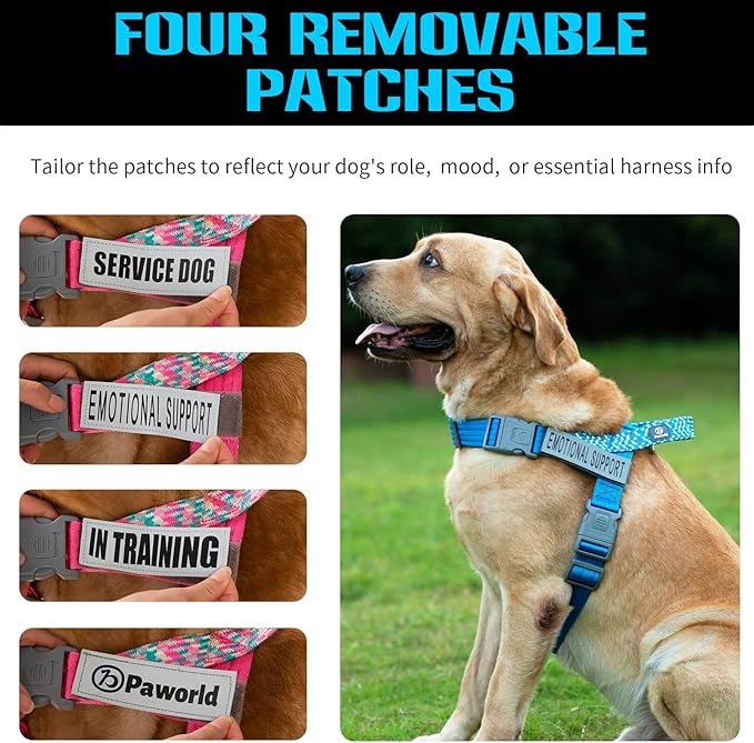 Service Dog Vest, No-Pull Service Dog Harness with 4 PCS Reflective Patches, Dog Vest Harness with Handle, Pet Harness for Small Medium Large Dogs in Training (Blue, XS)