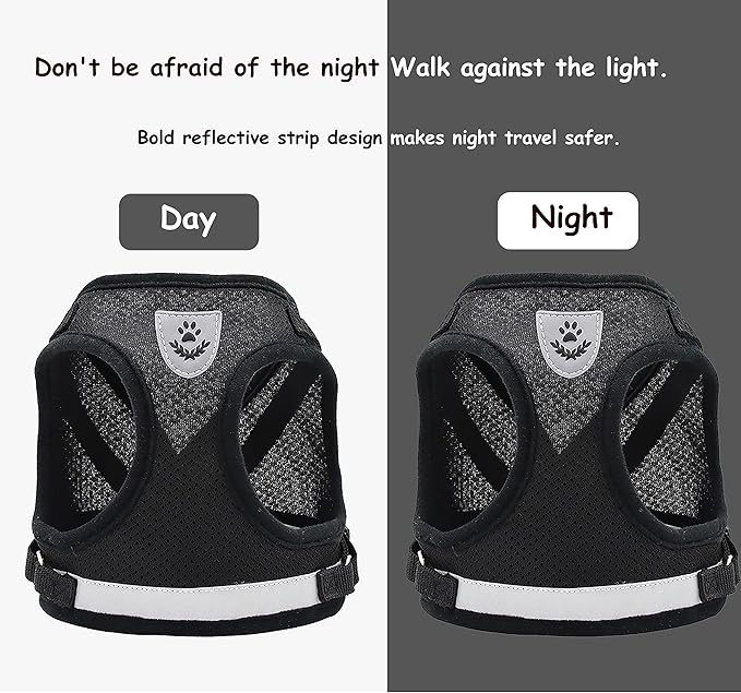 Step in Dog Harness and Leash Set,Reflective Adjustable Soft Mesh Breathable Pet Vest Dog Harnesses Set, No Chock No Pull Padded Puppy Harnesses for Small Dogs and Cats (Black, Small)