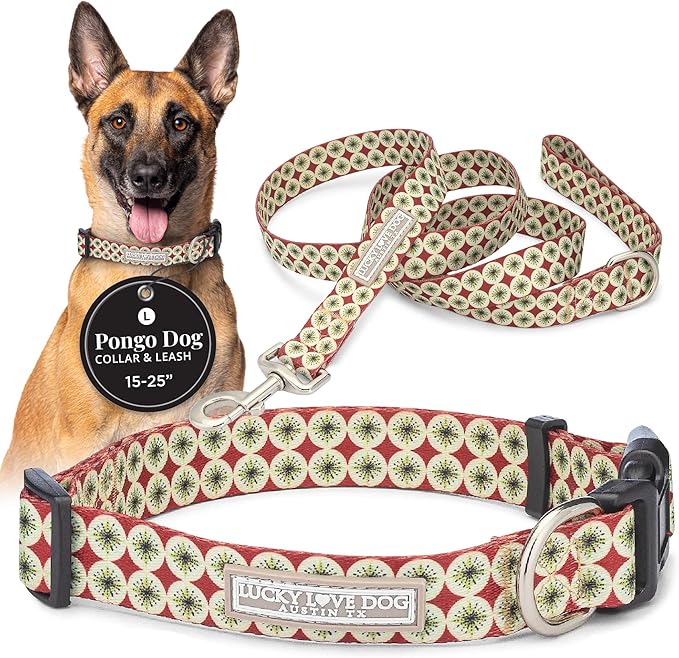 Lucky Love Dog - Easy Click Buckle Dog Collar with Leash Set Combo, Durable & Comfortable Collar for Male & Female Dogs, Pet Collar for Small to Large Dogs, Secure Fit - Pongo Combo, Large