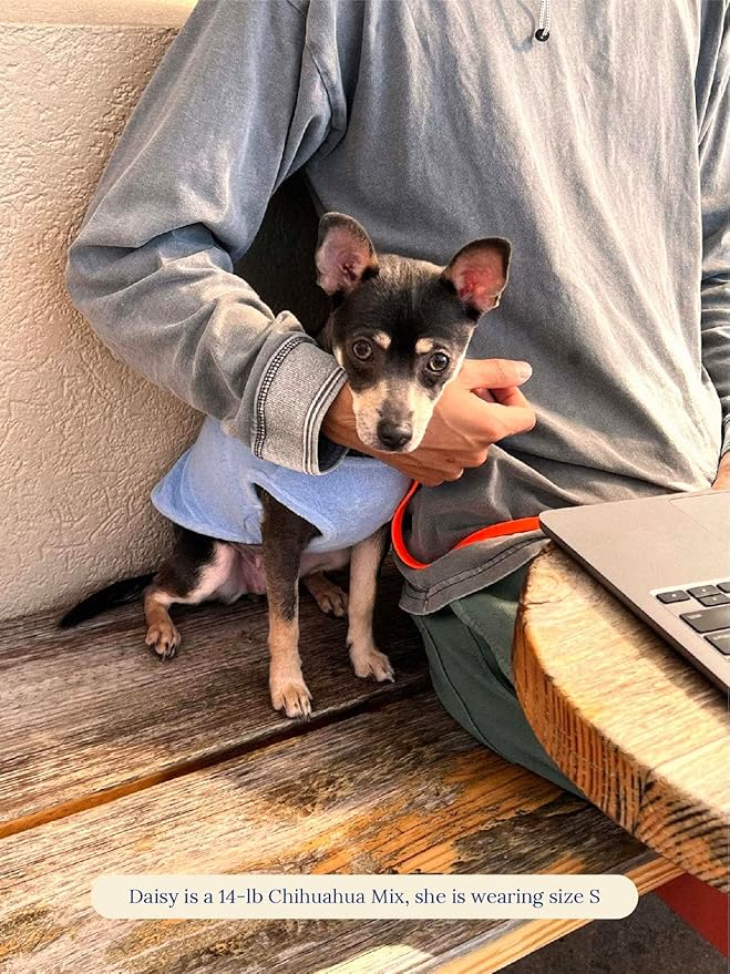 ADEDAS Sleeveless Shirt - Blue L