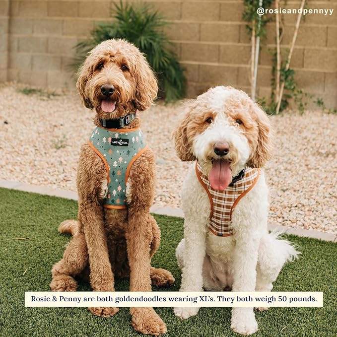 Lucy & Co. Cute Reversible Dog Harness Walking Halter - Best Designer Pet Harnesses for XS - XL Dogs - Padded Adjustable Vest for Easy Walking (X-Large, Neutral Brown Plaid with Blue Trees)