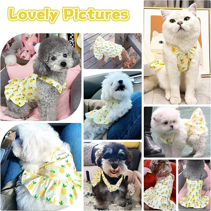 Small Dog Dress Harness and Leash Set Cute Princess Birthday Dog Dresses Soft Fruit Print Puppy Dresses Girl Dog Clothes for Small Dogs Cats Chihuahua Yorkie Shih Tzu (Yellow Pineapple,XL)