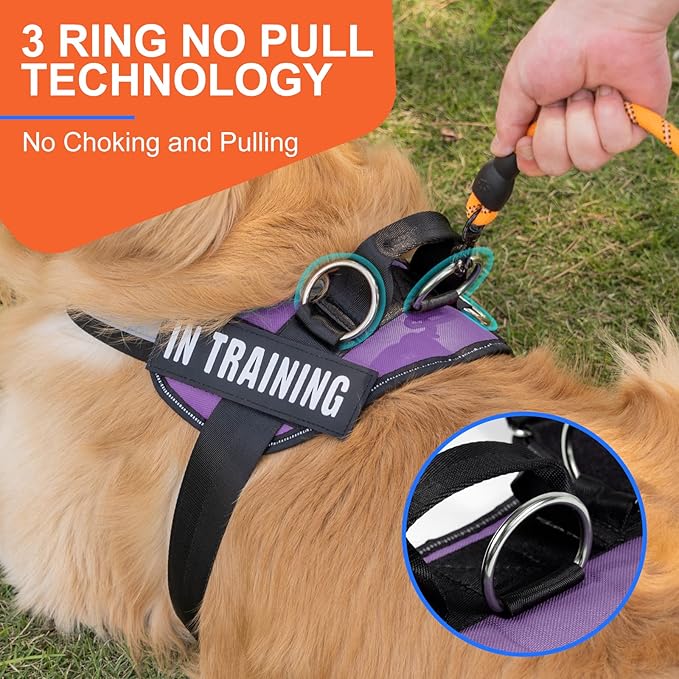 Essential Dog Harness, No Pull Pet Harness with 3 Side Rings for Leash Placement, No Choke, Reflective, Adjustable Pet Vest, Easy On-Off & Improved Control Handle, Training, Walking, Running
