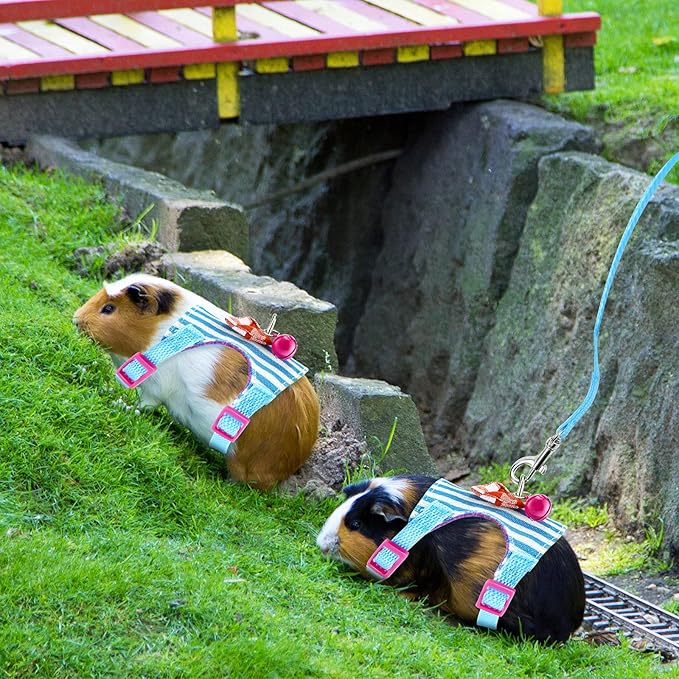 2 Pieces Hamster Harness and Leash Set for Walking, Small Guinea Pig Clothes with Bowknot Bell, No Pulling Comfort Padded Vest Striped for Guinea Pig Hamster Ferret, Small Animals (Blue, Black,M)