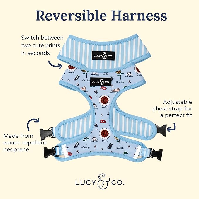 Lucy & Co. Cute Reversible Dog Harness Walking Halter - Best Designer Pet Harnesses for XS - XL Dogs - Padded Adjustable Vest for Easy Walking - Large - Periwinkle Vacation Icons