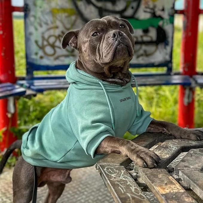 Spark Paws Dog Hoodie - Premium Quality, Buttery Soft, Superior Comfort and Fit, Calming Fleece Interior, Suitable for All Breeds - Teal - 2XL