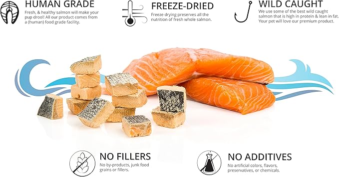Freeze Dried Salmon Dog Treats – All Natural Dog Treats, Healthy Protein, High Value Training – Omega 3-6 Fish Oil - 100% Pure Fish with Skin, Wild Caught - Single Ingredient, Grain Free - Made in USA