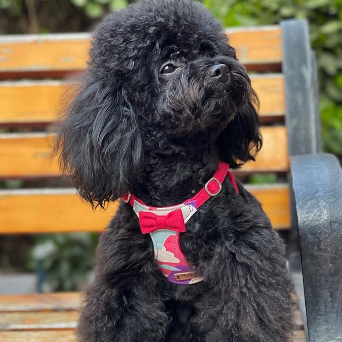 Puppytie No Pull Small Dog Harness with Multifunction Dog Leash,Lightweight Soft Adjustable No Choke Escape Proof Pet Harness Vest Pet Harness Vest,Suede Bow Wine red,S