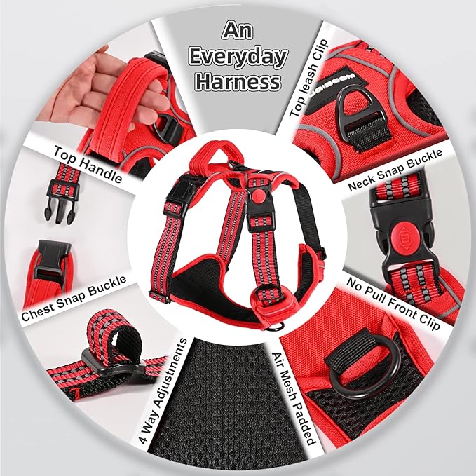 No Pull Dog Harness with A Free Heavy Duty 5ft Dog Leash, Adjustable Soft Padded Dog Vest, Reflective No-Choke Pet Oxford Vest with Easy Control Handle for Small and Large Dogs(Red, Large)