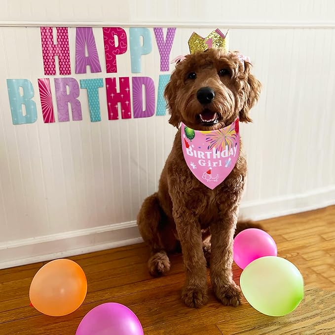 ADOGGYGO Dog Bandana Hat Set for Birthday Party Supply, Boy Girl Puppy Birthday Scarf for Small Dog (Small, Pink)