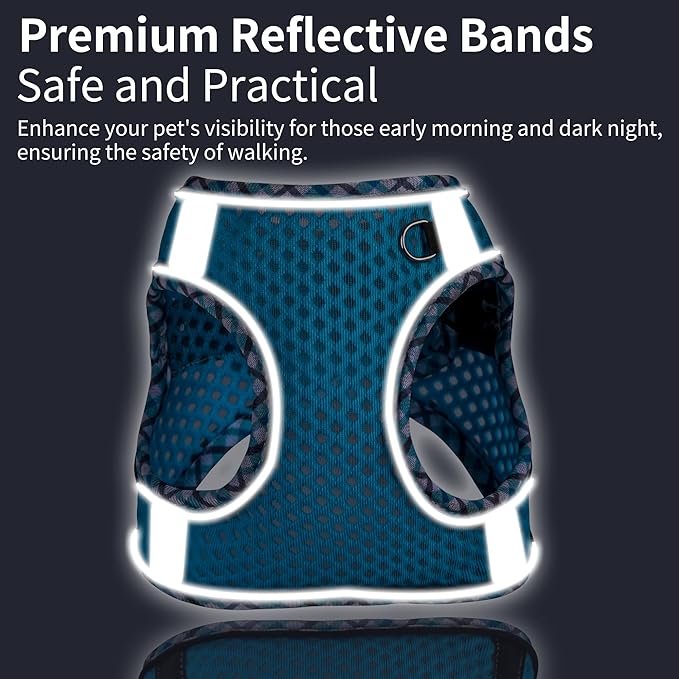 Tiny Dog Harness, All Weather Diamond Mesh, Reflective Stripes, No Pull Step in Lightweight Vest Harness for Puppy, Small Dogs and Cats Blue XXXS