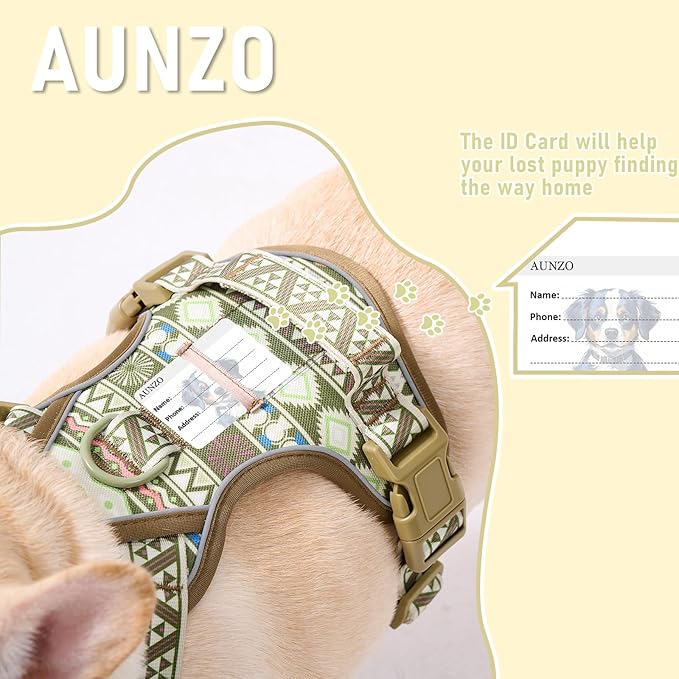 No Pull Dog Harness for Large Dogs with 2 Metal Clips, Easy On/Off with Neck Buckle, Heavy Duty Adjustable Puppy Vest, Breathable Pet Harness with Easy Control Handle, Green Ethnic L