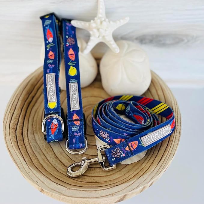 Lucky Love Dog - Easy Click Buckle Dog Collar with Leash Set Combo, Durable & Comfortable for Male & Female Dogs, Pet Collar for Small to Large Dogs, Secure Fit - Mackey Combo, Medium