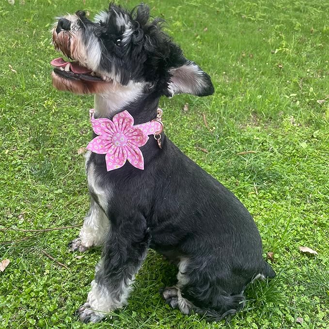 Summer Dog Collar with Flower, Cotton Cute Flower Dog Collar, Pink Flower Collar for Large Boy Girl Dog, Comfortable Blue Dog Collar with Metal Buckle, L