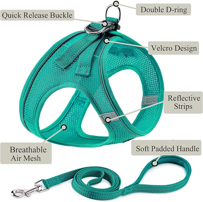 Dog Harness with Leash Set, No Pull Adjustable Reflective Step-in Puppy Pet Vest Harnesses for Small Medium Large Dogs and Cats,Forest Green XS
