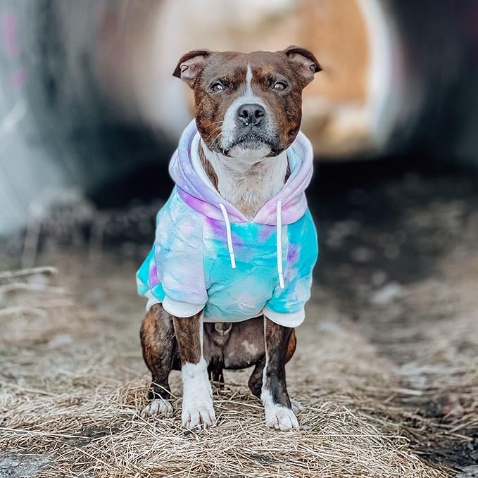 Spark Paws Dog Hoodie - Premium Quality, Buttery Soft, Superior Comfort and Fit, Calming Fleece Interior, Suitable for All Breeds - 90s Retro Sky Dye - L