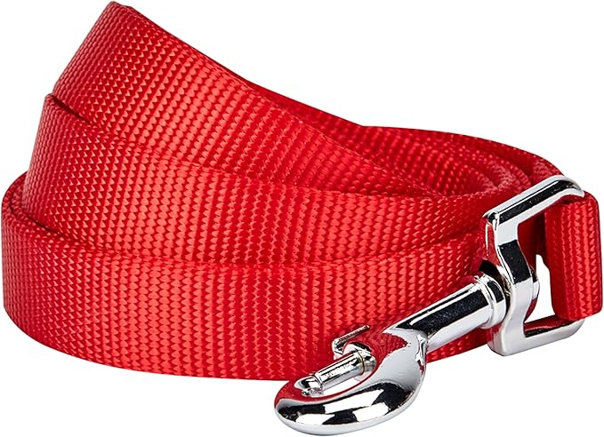 Blueberry Pet Essentials 19 Colors Durable Classic Dog Leash 5 ft x 3/4", Rouge Red, Medium, Basic Nylon Leashes for Dogs