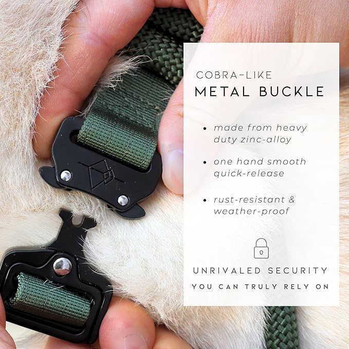 Made to ROAM Premium Explorer Control Collar - Adjustable Heavy Duty Nylon Dog Collar with Quick-Release Metal Buckle and Handle (Washington Rain, Control Size 5)