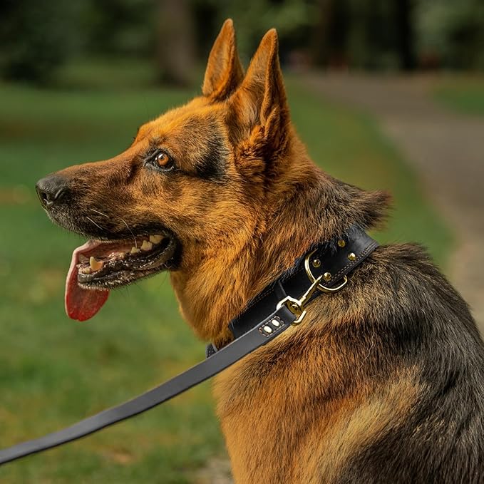 ADITYNA Heavy Duty Leather Dog Collar for Large Dogs - Soft and Strong Leather Collar for Walking and Training (Black - Gold Colored Buckle, Large: Fit 17" - 23" Neck)