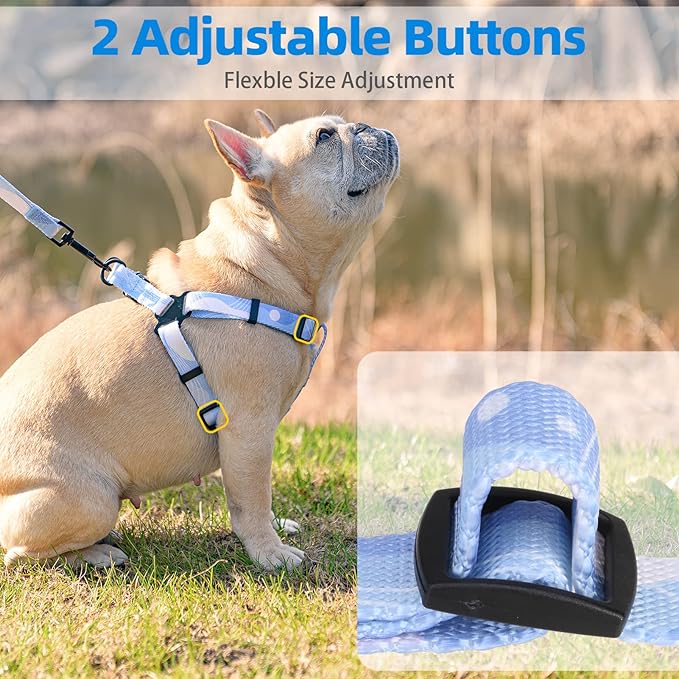 PUPTECK No Pull Dog Harness Soft Adjustable Basic Nylon Step in Puppy Vest Outdoor Walking with Leash Medium Printed Babyblue