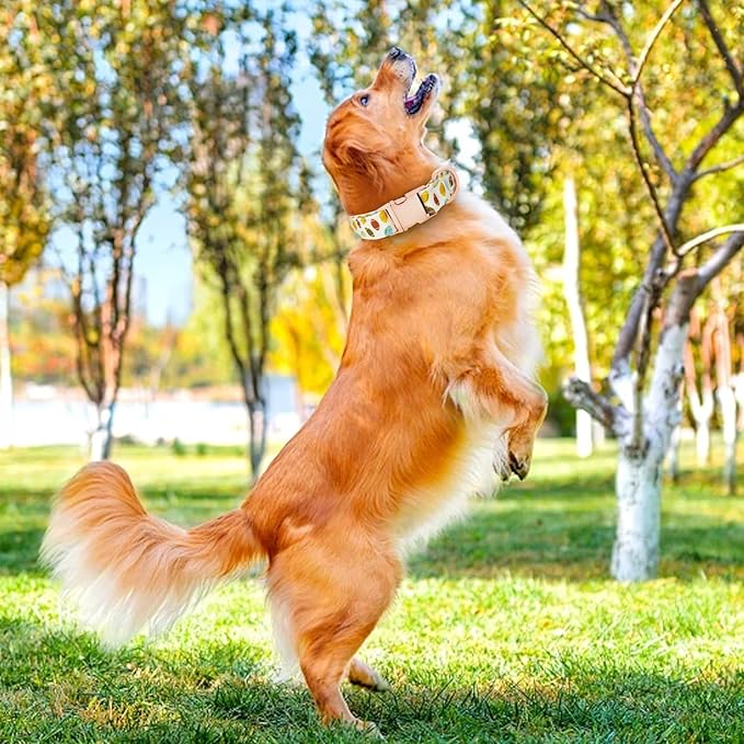 Dog Collar and Leash Set Girls Adjustable Puppy Collars with Floral Bow Tie for Small Medium Large Female Dogs, Rugby, L