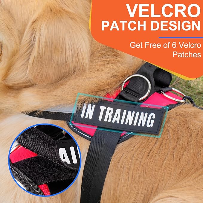 Essential Dog Harness, No Pull Pet Harness with 3 Side Rings for Leash Placement, No Choke, Reflective, Adjustable Pet Vest, Easy On-Off & Improved Control Handle, Training, Walking, Running