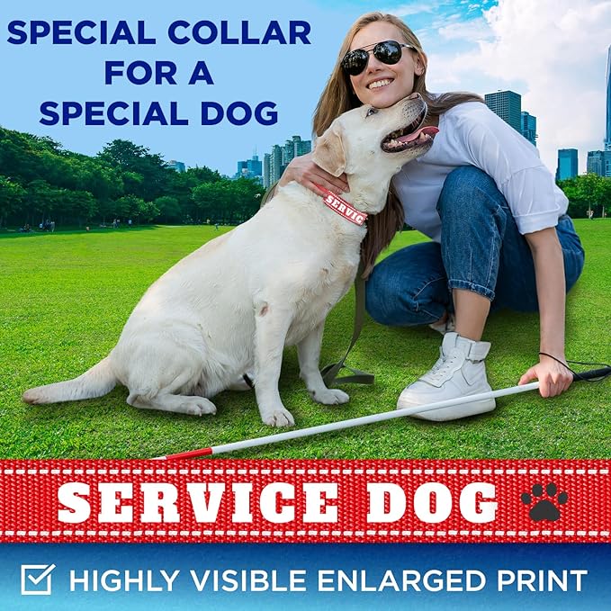 TECEUM Reflective Pet Collar – Crimson - Service Dog – M – Extra Soft Padding – Basic Nylon Dog Collar – Quick Release Buckle – Fits Small, Medium and Large Dogs, Puppies, Cats