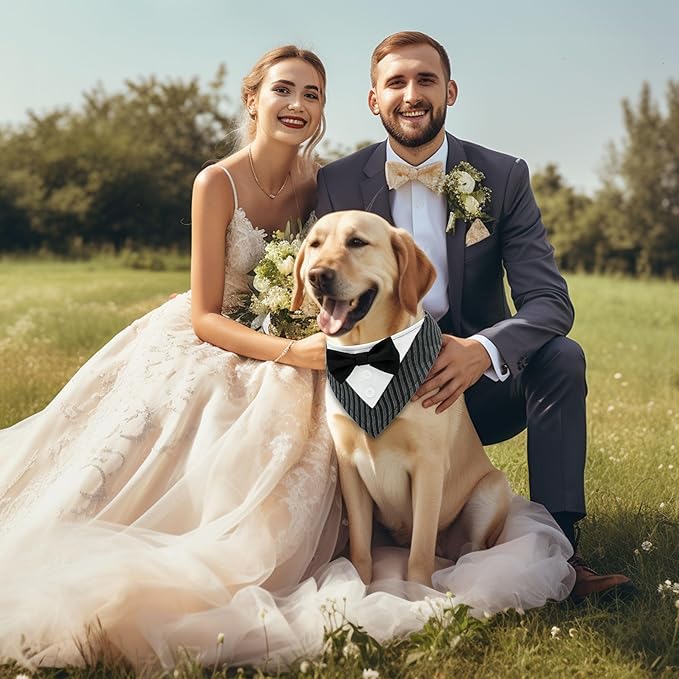 Cyeollo Wedding Bandana Collar With Bow Tie - Adjustable Tuxedo for Small Dogs, Pet Birthday Outfit, Costumes, Engagement Party Bandanas, Striped L
