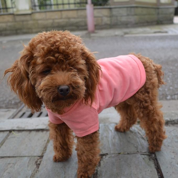 Lovelonglong Pet Clothing Dog Costumes Basic Blank T-Shirt Tee Shirts for Small Dogs Lotus Pink S