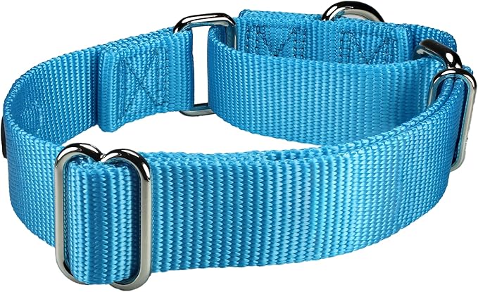 Mikivery Martingale Dog Collar Nylon Adjustable and Safety Training Colourful Comfortable Metal Buckle Pet Collars for Small Medium and Large Dogs(Ice Blue,L)