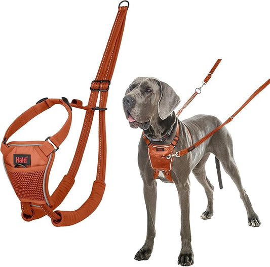 HALTI No Pull Harness - to Stop Your Dog Pulling on The Leash. Adjustable, Lightweight and Easy to Use. Reflective Dog Training Harness for Large Dogs (Size L, Burnt Orange)