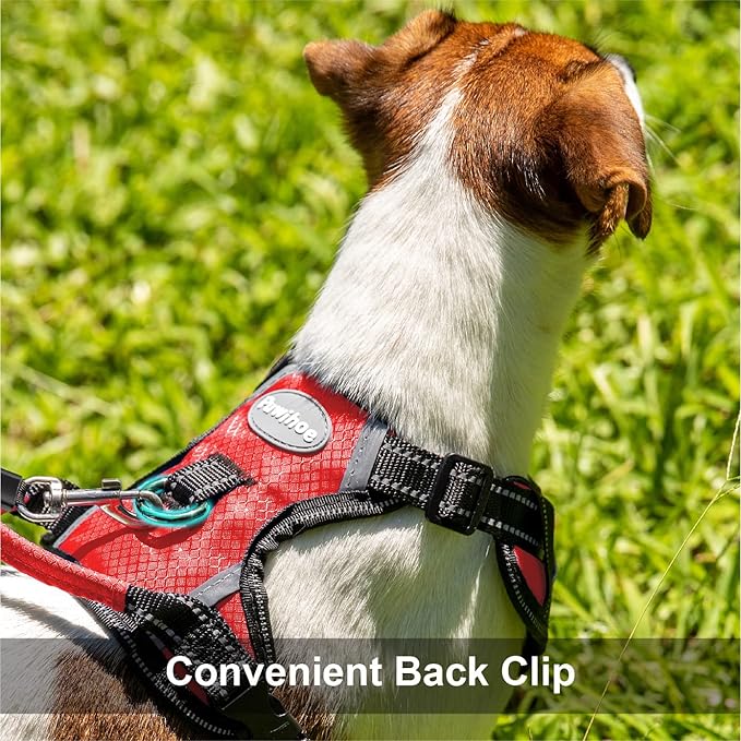 No Pull Dog Harness, Reflective Walking Dog Harness with Easy Control Handle and Front & Back Clips,Adjustable Breathable Soft Padded Dog Vest Harness for Large Medium Small Dogs,RED,M