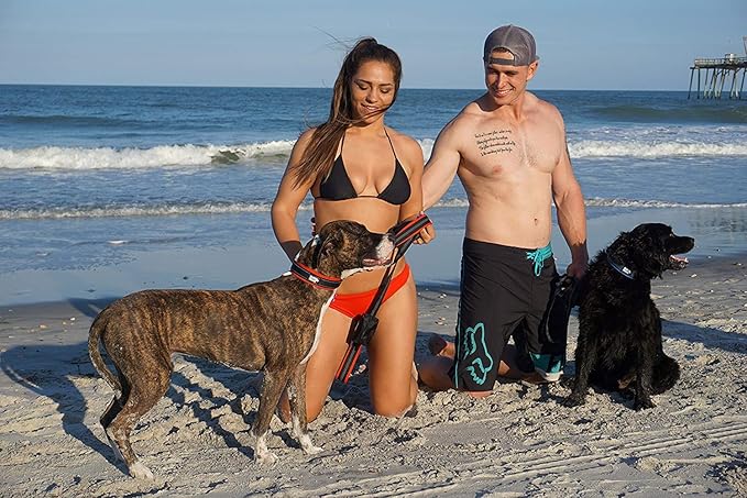 Black Rhino - The Comfort Collar Ultra Soft Neoprene Padded Dog Collar for All Breeds - Heavy Duty Adjustable Reflective Weatherproof (Small, Red/Black)