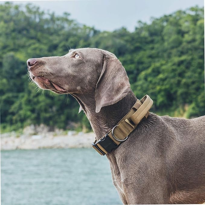 OneTigris Tough Dog Collars, Tactical Dog Collar with Handle, Milltary Adjustable Dog Collar with Heavy Duty Metal Buckle for Training (Medium (Pack of 1), Brown)