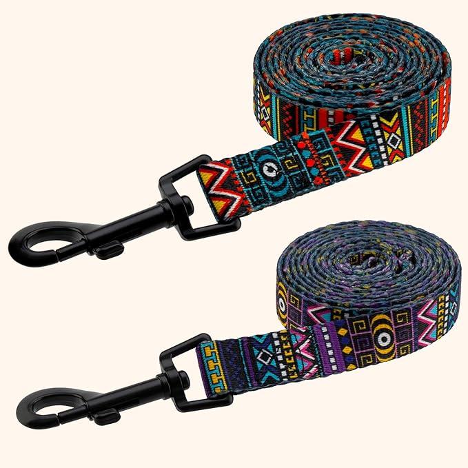 CollarDirect Aztec Dog Leash Nylon Tribal Pattern Cat Pet Leashes for Small Medium Large Dogs Puppy Lead 5 FT Long for Walking (Ethnic Teal, S, New)