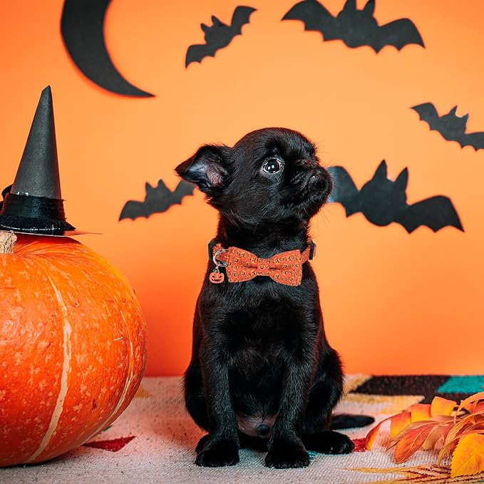 ADOGGYGO Halloween Dog Collar with Detachable Bow, Adjustable Orange Pumpkin Halloween Bowtie Collars for Small Medium Large Dogs (Small)
