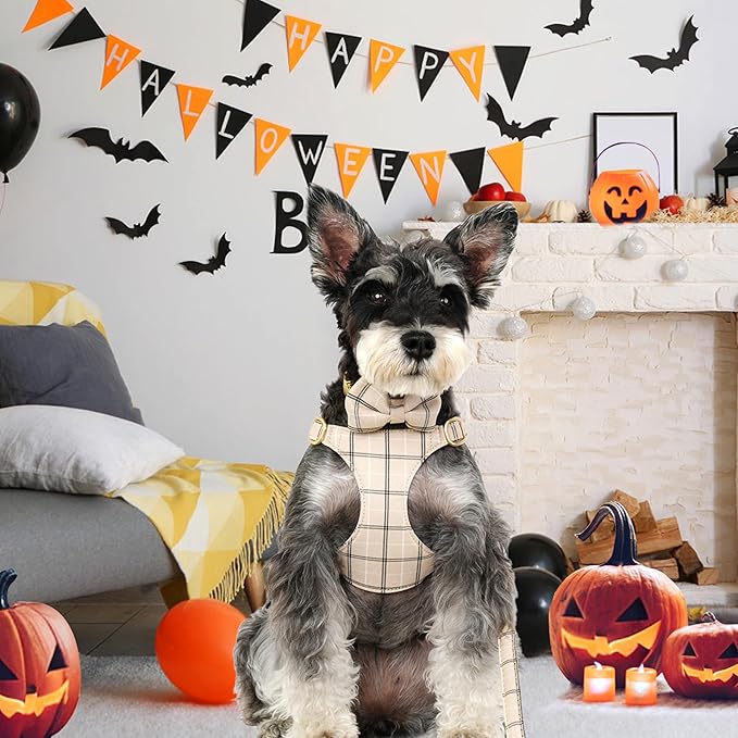 Beirui Cute Small Dog Harness Collar and Leash Set with Bowtie, Soft Adjustable Plaid Puppy Harness for Small Sized Dogs Cats Walks Parties and Photoshoots(Beige,XXS:Chest 12-14")