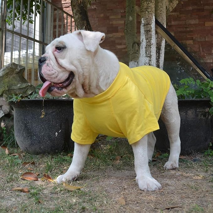 Lovelonglong Bulldog Clothes Dog Clothing Blank T-Shirt Tee Shirts for French Bulldog English Bulldog American Pit Bull Pugs 100% Cotton Skin Care Yellow B-XL