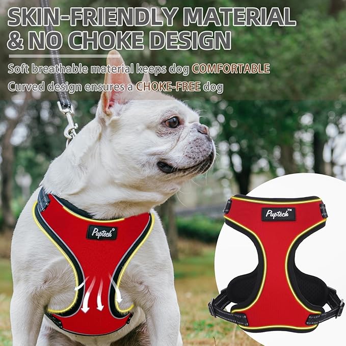 PUPTECK Dog Harness and Leash Set for Small Medium Sized Dogs, No Pull Dog Harness for Walking Training, Adjustable Reflective Puppy French Bulldog Frenchie Harness Soft Padded Vest, Red, L