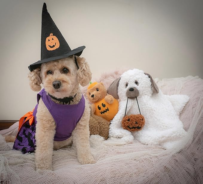 Fitwarm 100% Cotton I'm The Good Witch Halloween Dog Costume Puppy Dress Doggie Party One Piece with Bowknot Pumkin Bat Pet Vest Shirt Holiday Cat Outfits Purple Medium