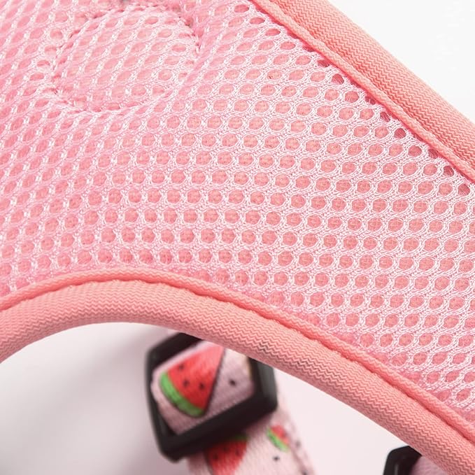 Dog Harness and Leash Set, Adjustable Dog Harness, Dog Leash, No Pull No Choke Puppy Harnesses for Walking Training for Small, Medium, Large Pet