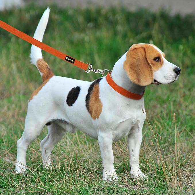 Plutus Pet Cotton Hemp Dog Collar and Leash Set, Adjustable Collar for Small, Medium, and Large Dogs, Heavy Duty and Soft on Skin, Orange, L