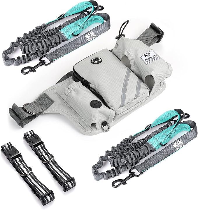 SHINE HAI Retractable Hands Free Dog Leash with Dual Bungees for 2 Dogs, Adjustable Waist Belt, Reflective Stitching Leash for Running Walking Hiking Jogging Biking Black - Gray