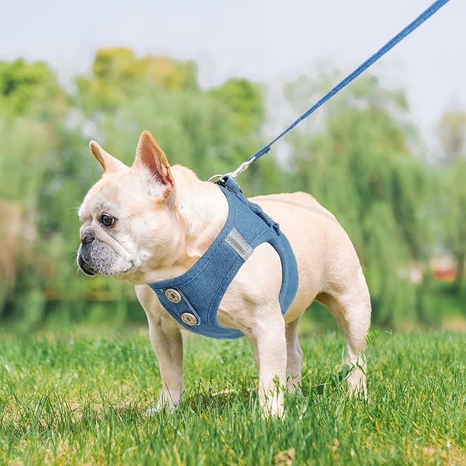 PUPTECK Dog Harness and Leash Set for Small Medium Dogs No Pull Step-in Soft Mesh Puppy Cat Vest Harnesses Reflective at Night, Denim Steelblue M