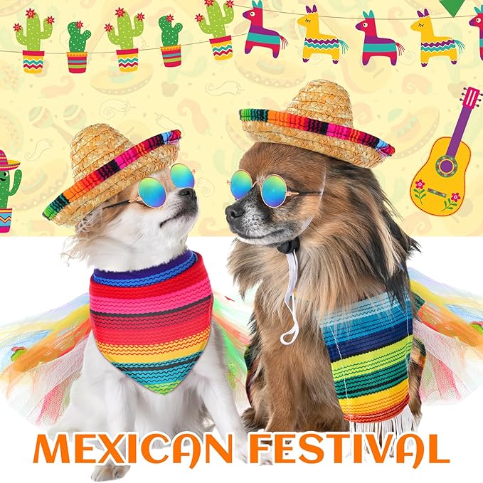 JaGely 4 Pieces Pet Mexican Costume Dog Outfit Accessories Includes Mexican Cinco De Mayo Pet Sombrero Hat, Triangle Dog Bandana Glasses and Tulle Tutu Skirt for Medium Large Pets Mexican Costume