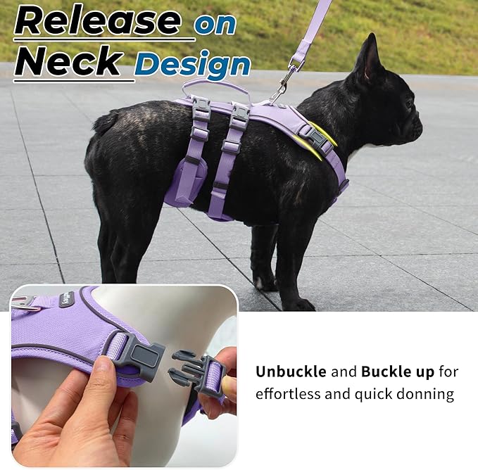 Escape Proof Dog Harness and Leash Set, Lightweight Dog Harness with Lift and Assist Handle, No Pull Reflective Pet Vest for Small Medium Dogs, Ideal for Puppy Walking and Training (Purple, S)